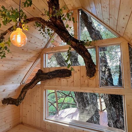 Agriturismo Pereti 로카테데리기 외부 사진