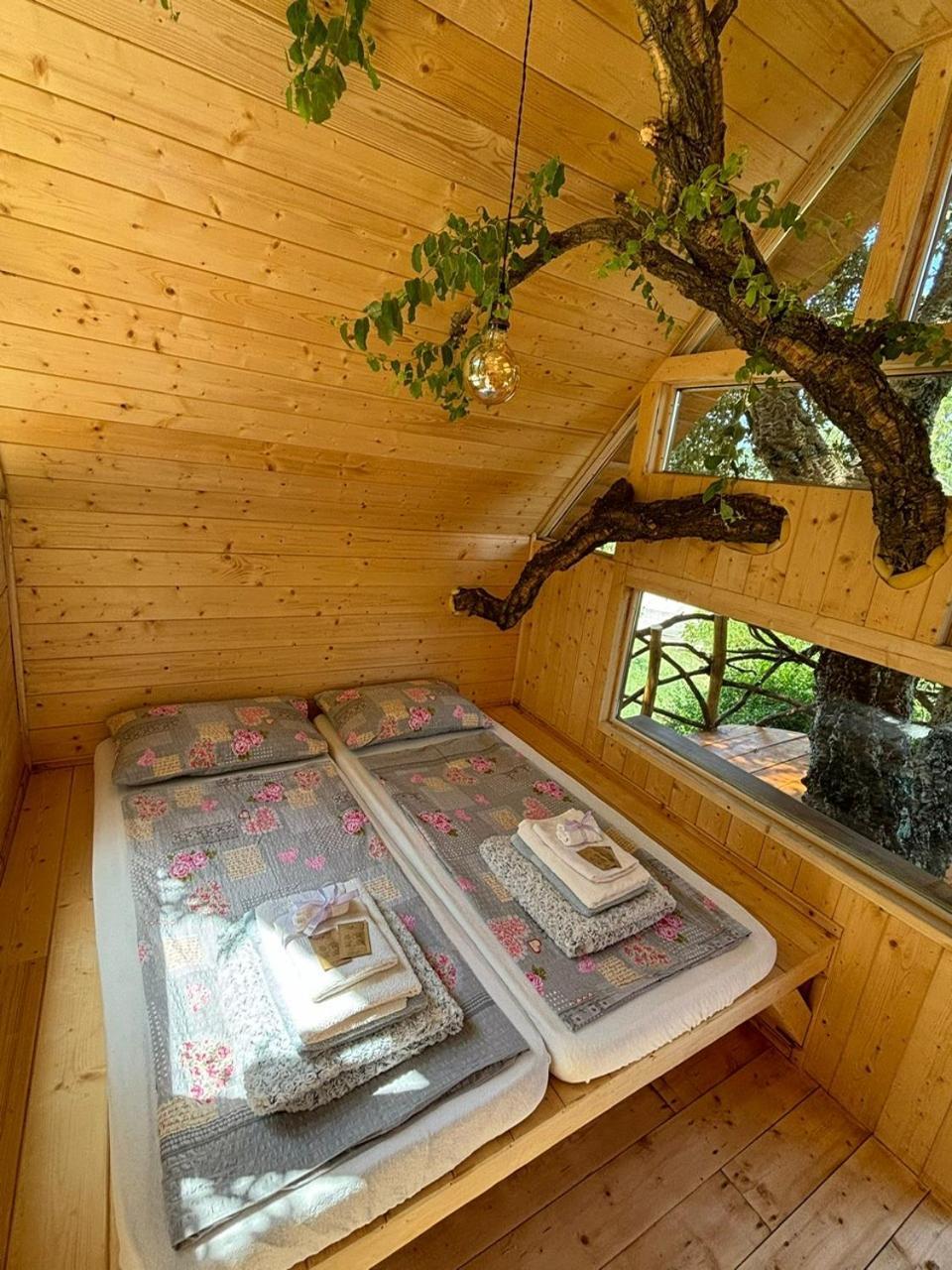 Agriturismo Pereti 로카테데리기 외부 사진
