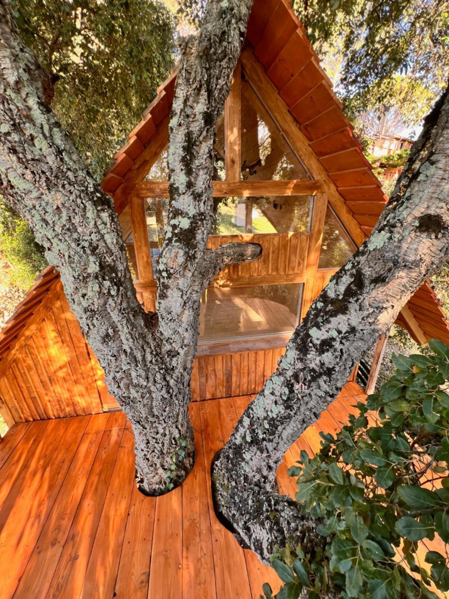 Agriturismo Pereti 로카테데리기 외부 사진