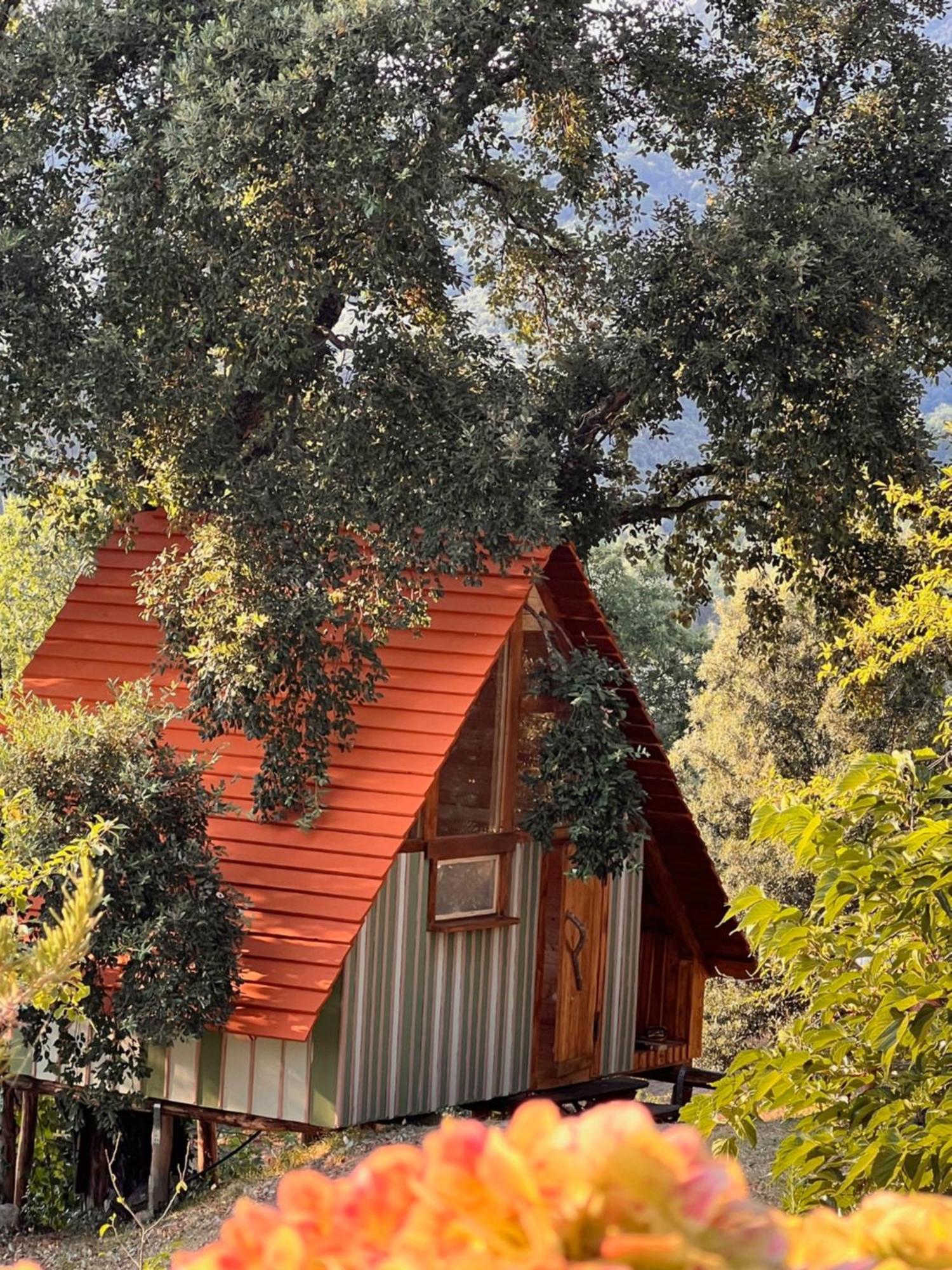Agriturismo Pereti 로카테데리기 외부 사진
