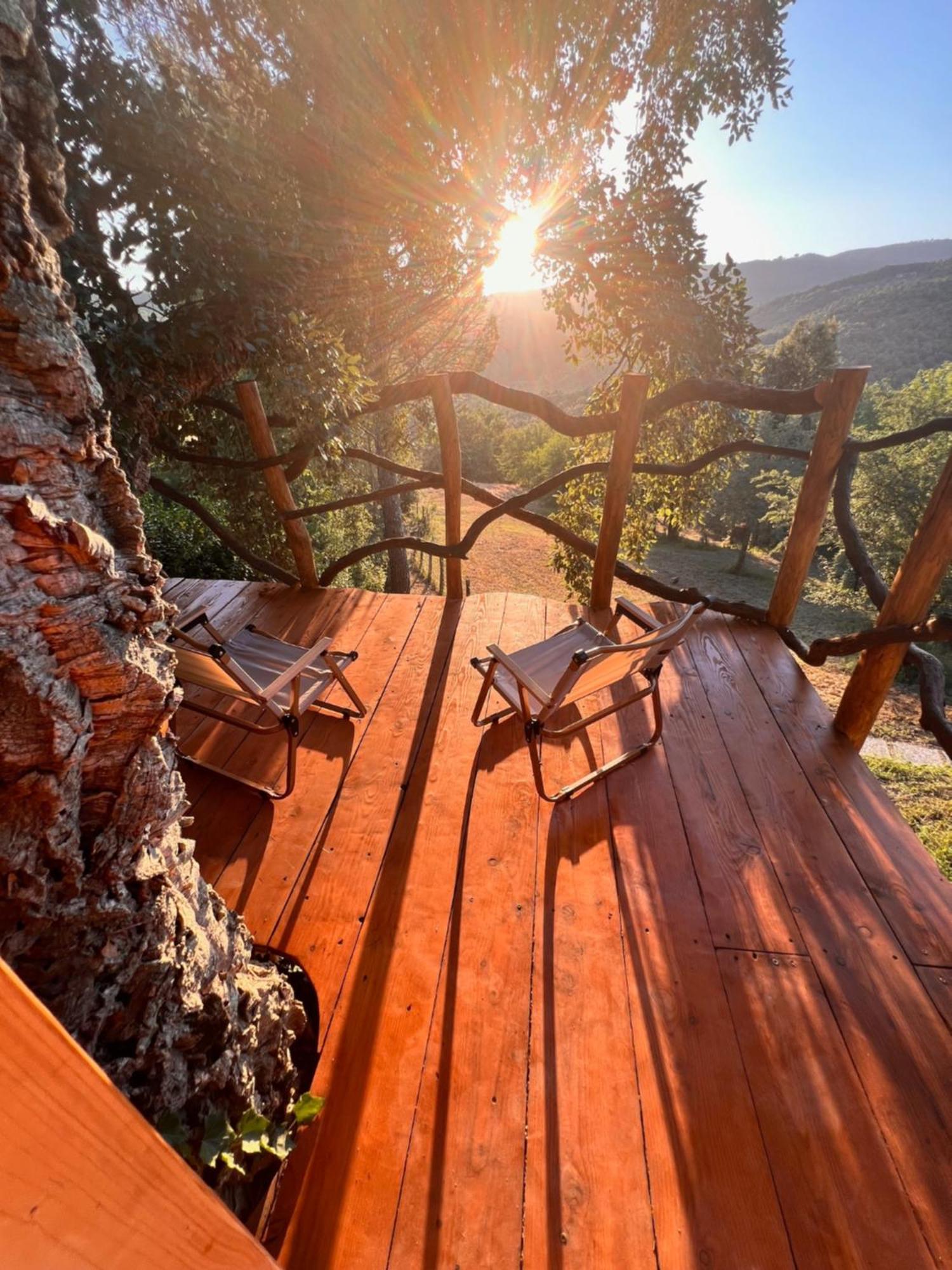 Agriturismo Pereti 로카테데리기 외부 사진