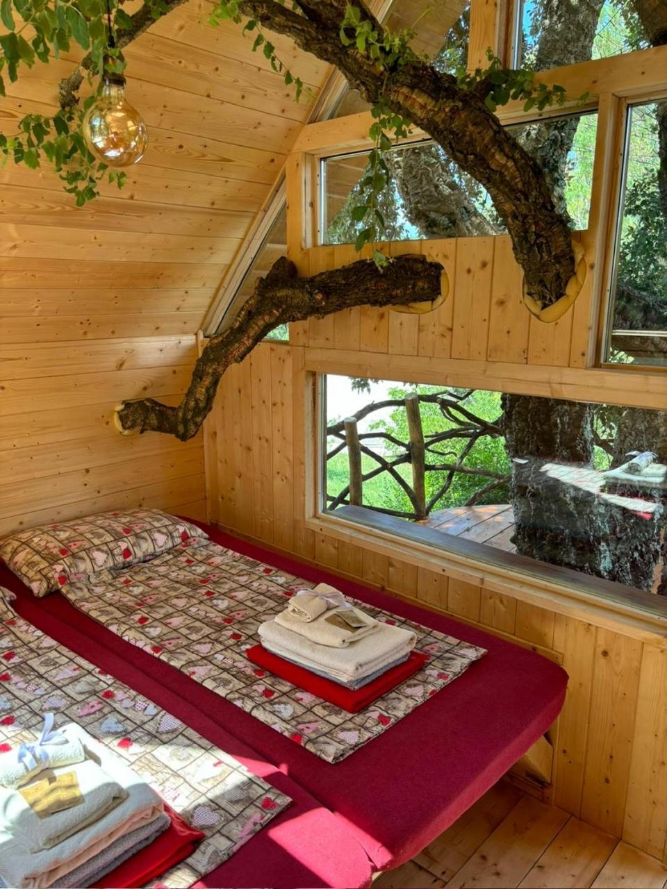 Agriturismo Pereti 로카테데리기 객실 사진