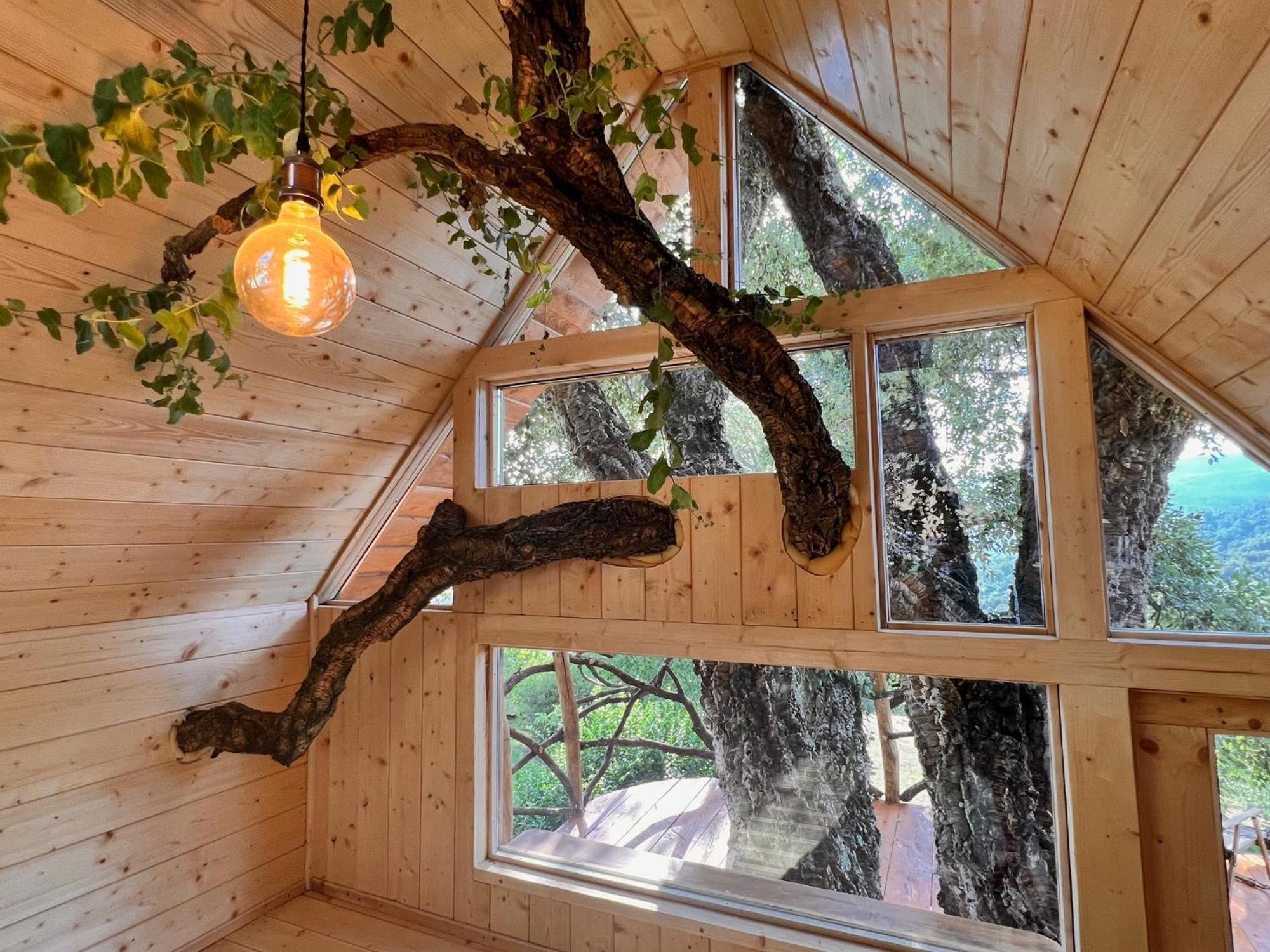 Agriturismo Pereti 로카테데리기 외부 사진